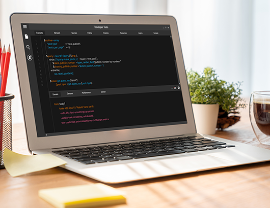 蚂蚁分类信息系统